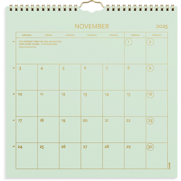 Väggkalender 2025 Färg