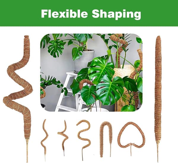 st - 60cm - Växtstöd - Vikbart växtstöd - Klätterväxtpinne - Monstera-stakar