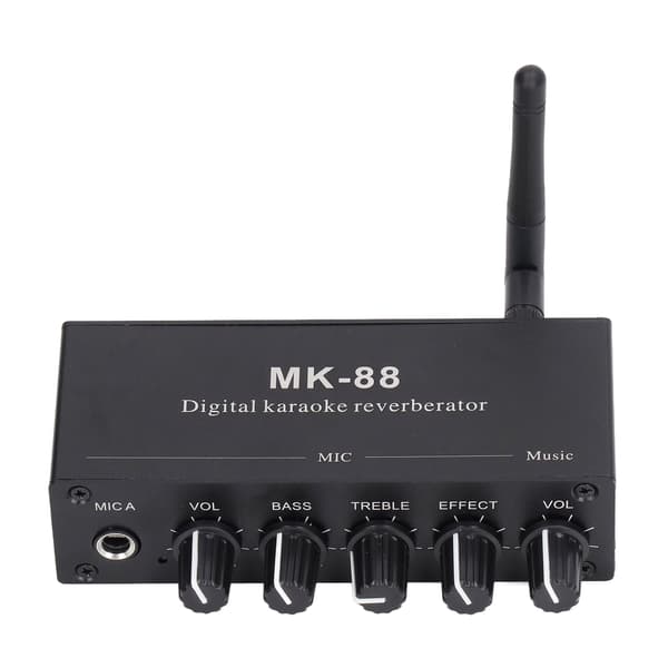 Digital Reverb Stereo Amplifier Bluetooth 5.0 Dual Microphone Input DC 12V