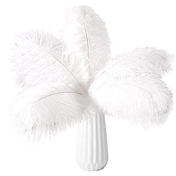 20 stk Naturlige Bulk Strudsefjer - Perfekt White