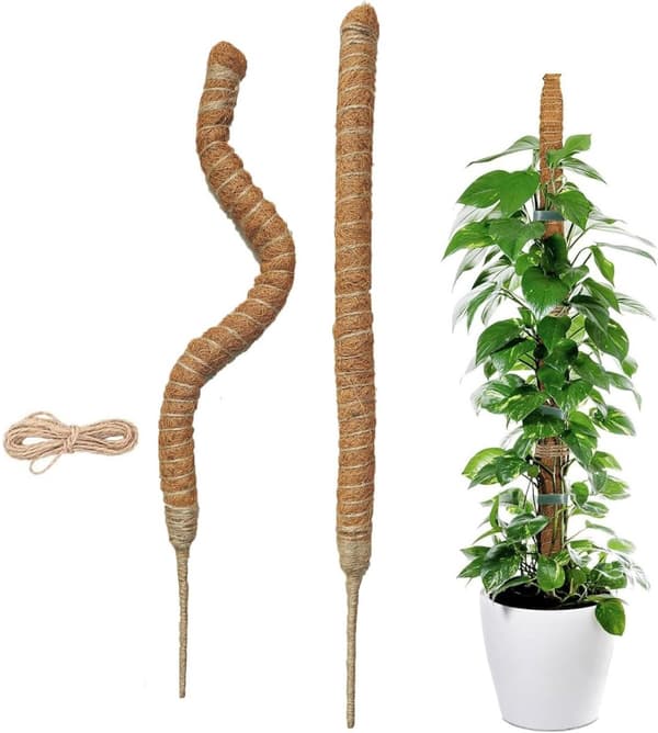 st - 60cm - Växtstöd - Vikbart växtstöd - Klätterväxtpinne - Monstera-stakar