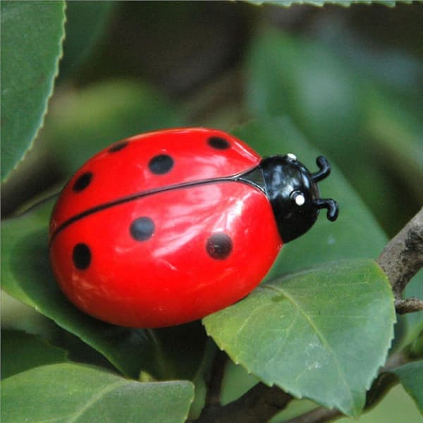 Battery-powered electronic cat wasp beetle baby toy Red Red