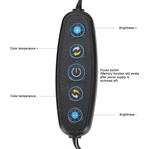 5 tommer Selfie Ring Light LED Justerbar Fyldlampe med Stativ Mobiltelefonholder (USB-stik)