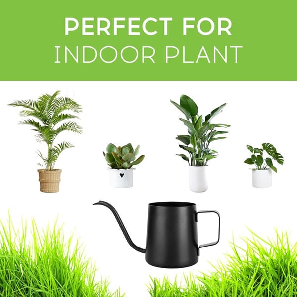 Mini vandkande, rustfrit stål med lang tud til små indendørs planter, sukkulenter og bonsai, sort, 350 ml