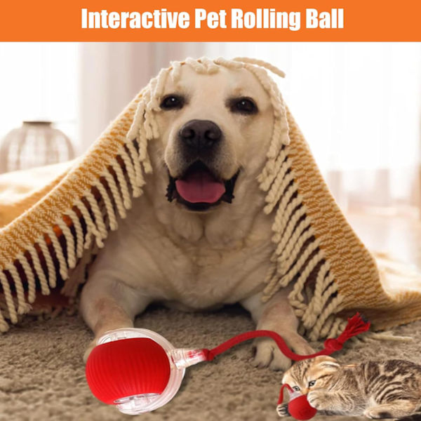 Rullende Ball, Hundeflekkeball, Hundeflekkeball, Interaktiv Hund Smart Ball Leke, Interaktiv Katt Ball Leke, 360° Smart Automatisk Rulling (Rød) Red