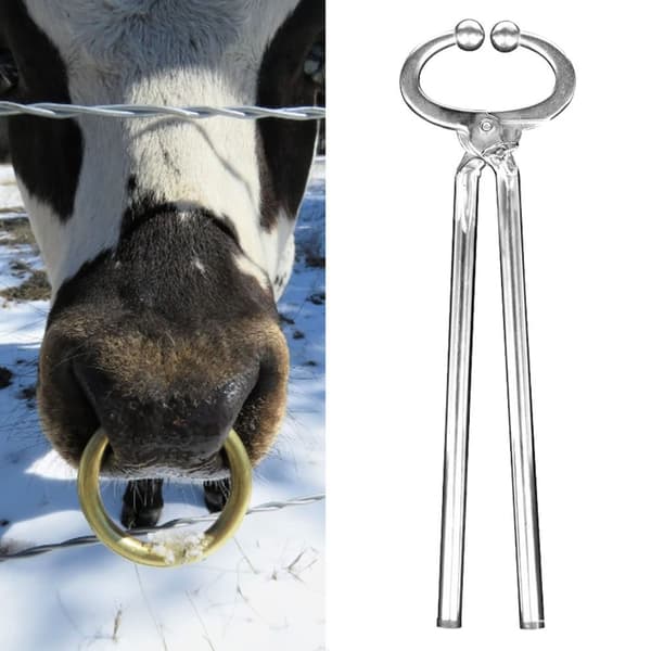 Nosringstång för Ko, Nötkreatur Nosbly