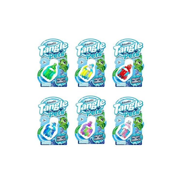 Tangle Sötvattenssköldpadda Flerfärgad MultiColor Turtle