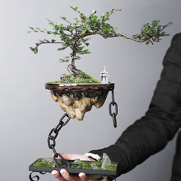 Hängande blomkruka med järnkedja för suckulenter, studentrum (Rektangulär med stenparti)