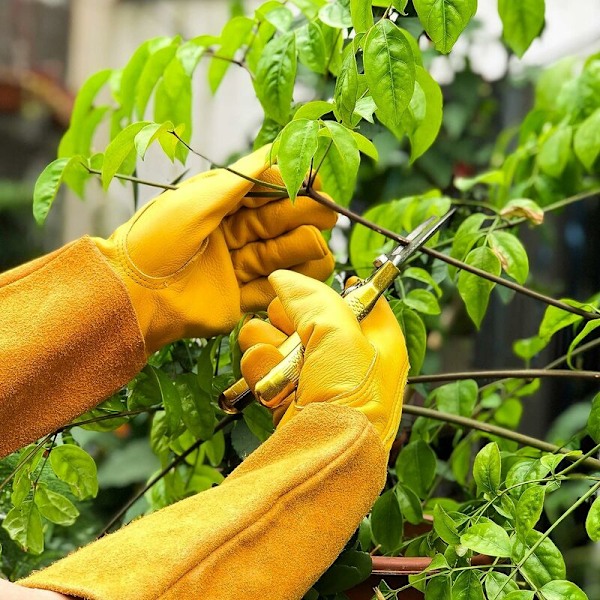 (Gul, L) Hengittävät nahkaiset puutarhakäsineet miehille ja naisille