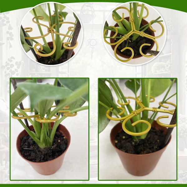 6-pack Monstera Växtstöd Kit - Rostfritt Växtstöd, Bladklämmor (3 Hjärtformade + 3 Blomdesign) Lättanvänd Skonsam Gripteknik