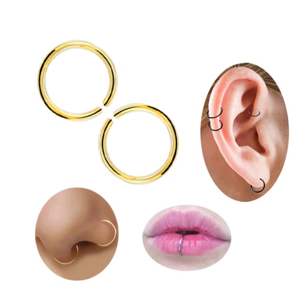 2-pack Gold Fake Piercing Ears Lip Nose Ring Septum Lip Ring guld