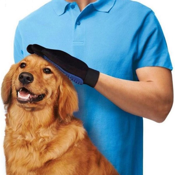 2 -pakke børstehandske til kæledyr - højre/venstre - lodret hundekat blå
