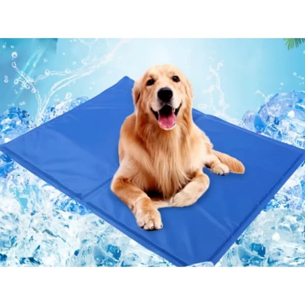 Kølemåtte til hund & kat 50x65 cm – Selv-kølende gelmåtte