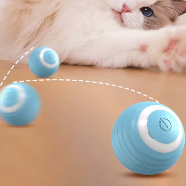 Smart automatisk rullekugle | Interaktivt hunde- og kattelegetøj orange