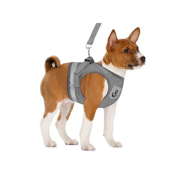 Hundesele Blød Trykfri med Reflex M Grå