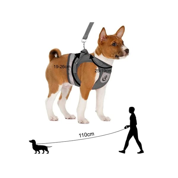 Hundesele Myk Trykkfri med Reflex XS Grey