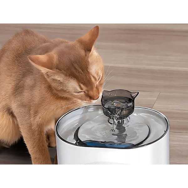 Vandfontæne til Kat & Hund – Automatisk vandskål på 2,2 L med bevægelsessensor