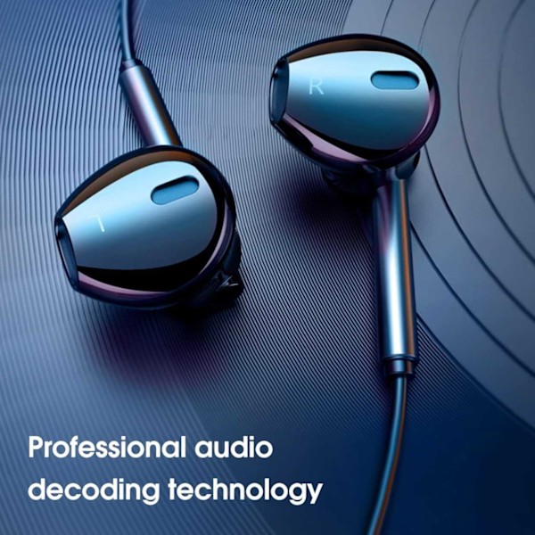 Universella USB-C Hörlurar med Kabel DAC Svart svart