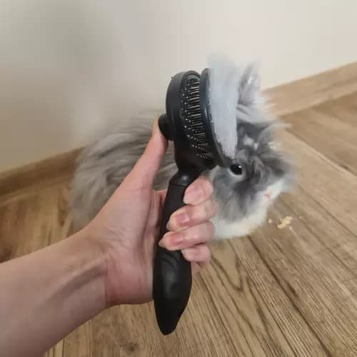 Itsepuhdistuva turkisharja eläimille Click Brush Black musta