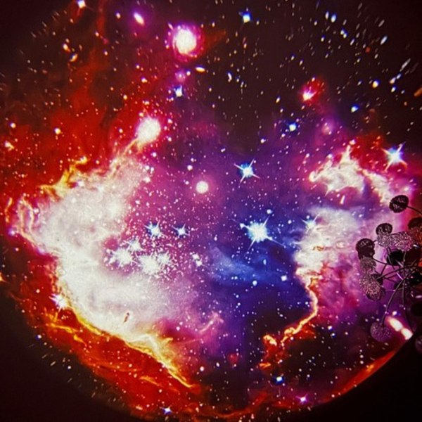 LED Star Projector - Planetarium og Sky Projector med Night Light-funktion