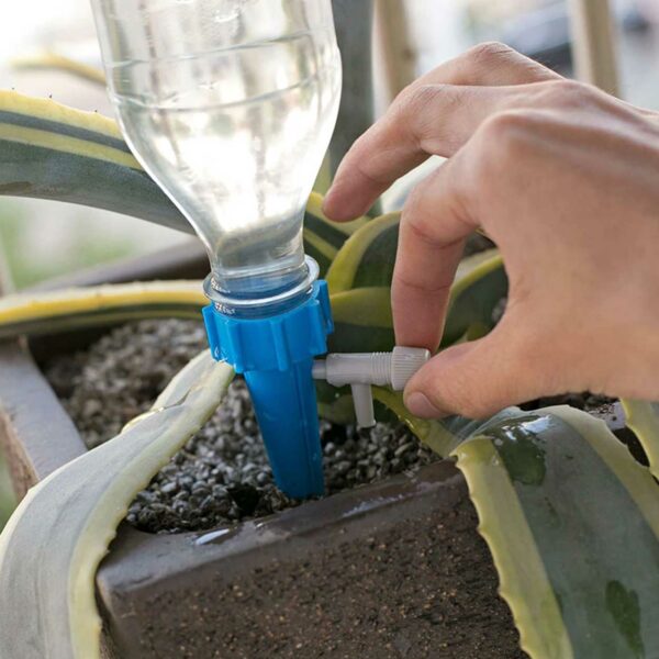 5-Pack Automatisk Bevattning Blomvattnare flerfärgad