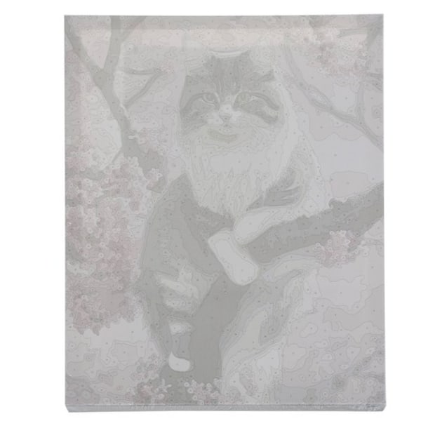 Måla Efter Nummer Set | Penslar, Färg och Duk på Träram | Katt 40x50cm