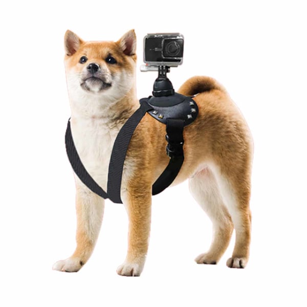 GoPro Dogsele Brystbælte til Dog Vest POV Mount Action Camera sort