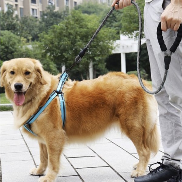 Koiran hihnarefleksi pidikkeellä kakkapusseille | Rekletive Reflex Leash 3m musta