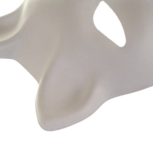 10-Pack Vita DIY Katte masker til Maleri og Håndværk