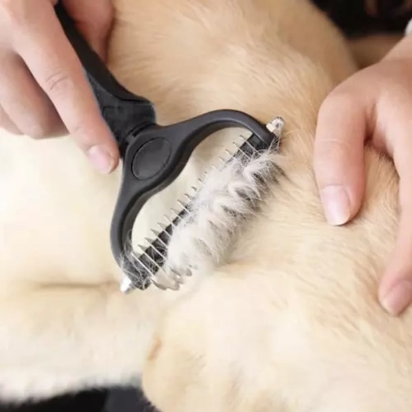 Dubbelverkande Tovutredare och Borste för Hund, Katt och Husdjur