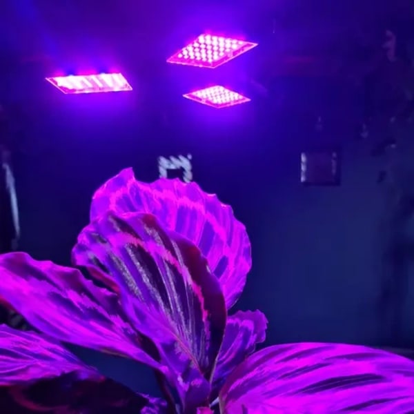 E27 Växtbelysning 108 LED