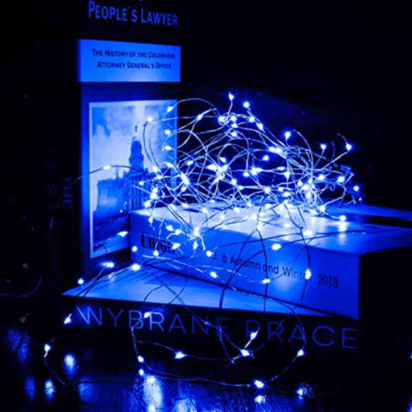 2-Pack 1m Mini LED Ljusslinga Batteridriven Blå blå