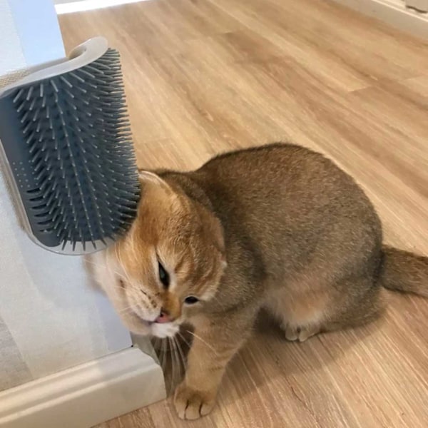 Kattkliare Kattborste Massageborste för Hörnmontering för Katter grå
