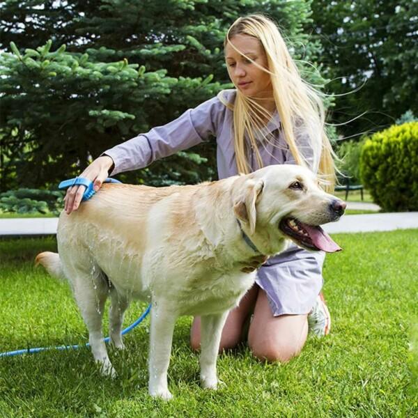 Brusebørstehandske til dyr - pelspleje vask hund kæledyr blå