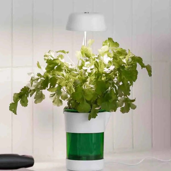 LED-kasvivalaisin itsekastelulla - Täysispektri kasvivalaistus valkoinen