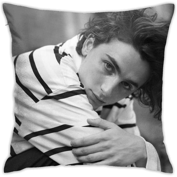 Timothee-chalamet- Plush Comfy Animated Case 18"x18"