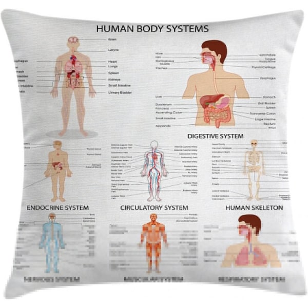 Mänsklig anatomi Cover, komplett diagram Olika organkroppsstrukturer Cellliv Illustration, 18" X 18", vit