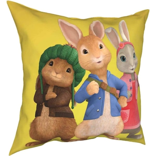 Mjuka och tåliga Peter Rabbit Four Seasons kuddar, bekväma, mjuka och hudvänliga kuddar, lämplig för bäddsoffa bilar-petter18-22x22 tum