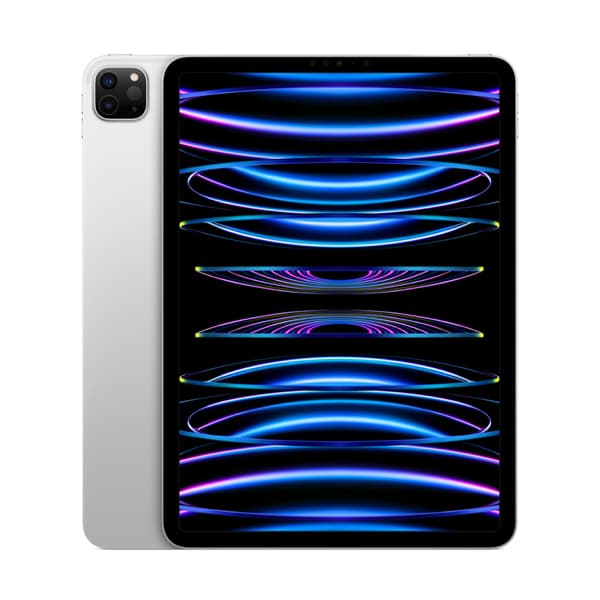 iPad Pro 11" Wi-Fi + Cellular M2 (4th Gen) 256GB Grade C Refurbished Silver