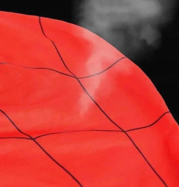 Spider-Man Maske red