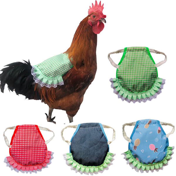 Gränsöverskridande Amazon hönssadel förkläde fjäderskydd fixator ryggskydd hönssadel förkläde dubbla lager avocado
