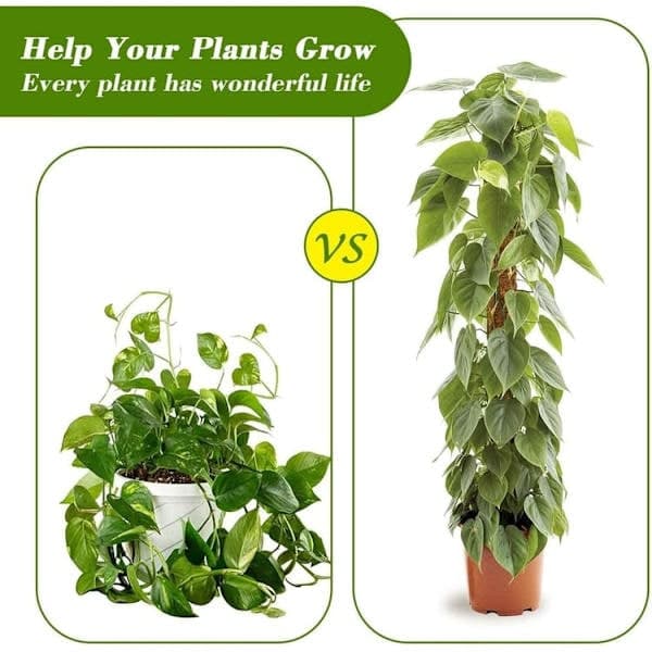Mossstöd för växter 120 cm, böjbart mossstöd för klätterväxter Monstera Murgröna 2-pack 2-pack