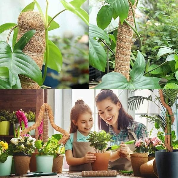 Mossstöd för växter 120 cm, böjbart mossstöd för klätterväxter Monstera Murgröna 2-pack 2-pack