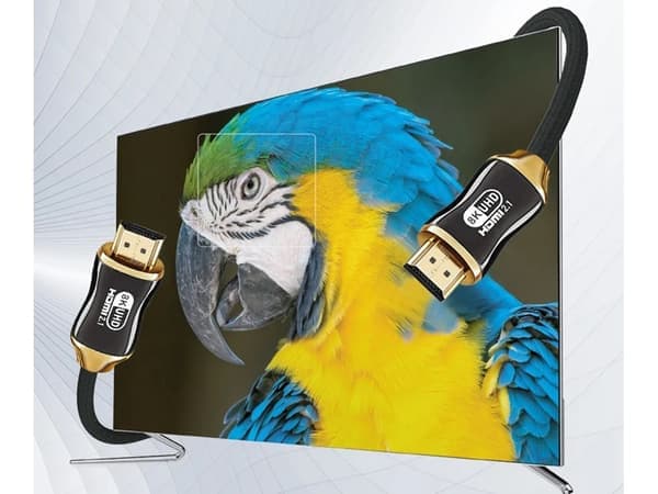 3m HDMI 2.1-kabel - Ultra HD 8K - Gullbelagt