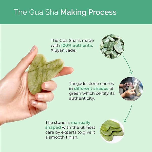Gua Sha -hierontakaavin PLANTIFIQUE