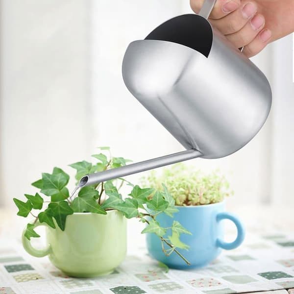 300 ml vandkande i rustfrit stål - lang tud til bonsai, potteplanter og have