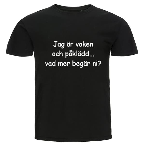 T-paita - Olen hereillä ja pukeutunut L L