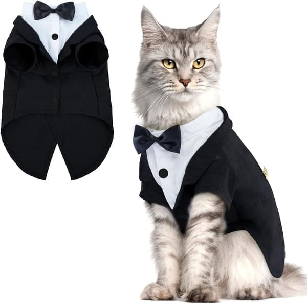Kattefrakker, formelt kostume til katte sort M M