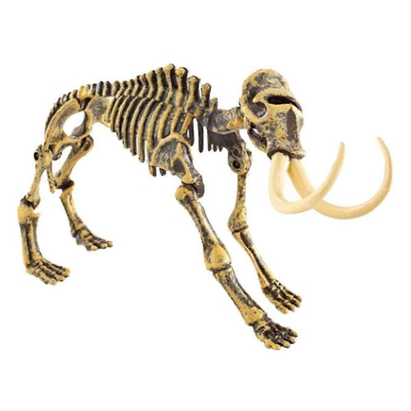 Dinosauruksen luurankomalli, lasten oppimislelu
