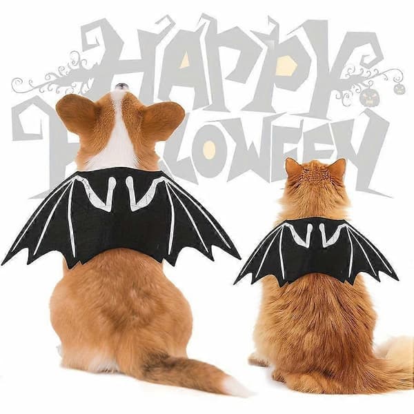 Halloween kæledyrskostume med sikker pasform til trick-or-treating og fest